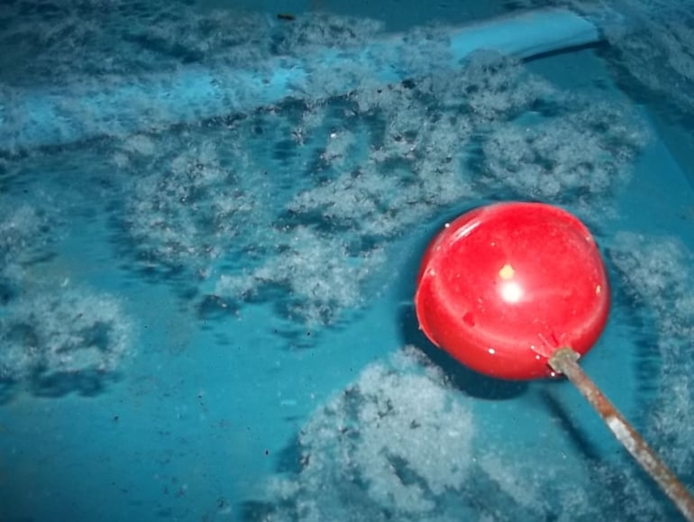 Biofilm in tank