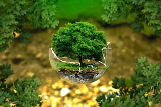 environmental systems