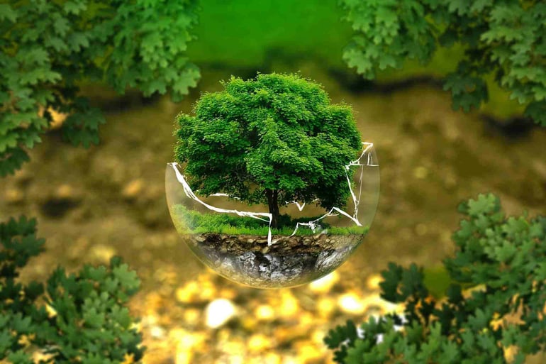 87 - Environment_100KB