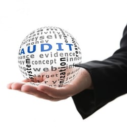 Water Safety Audit