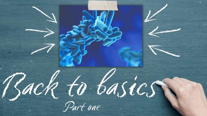 Back to Basics >100KB