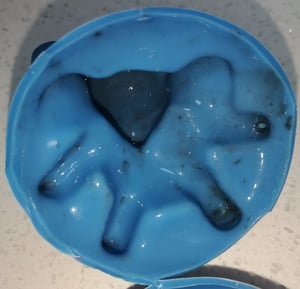 Bath Toy - inside Biofilm 1