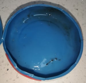 Bath Toy - inside Biofilm 2