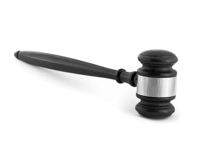 Expert Witness-3