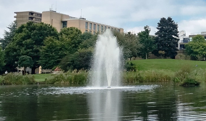 Legionella Risk - How Safe is Your Water Fountain? 