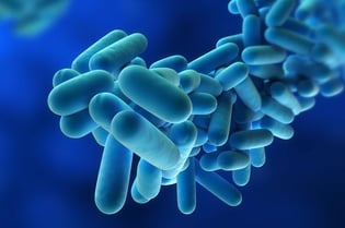 Legionella in spa pools