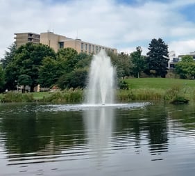 fountain in a pond in greenland building behind it and trees