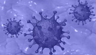 Covid 19 Virus