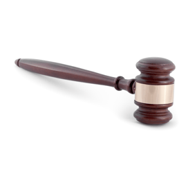 expert witness