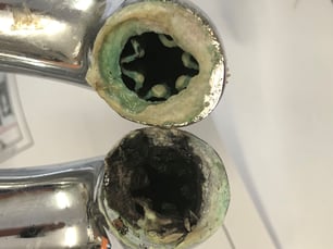 Legionella Scaled Tap
