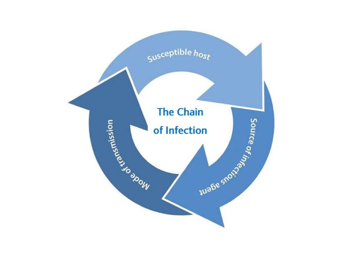 chain of infection chart