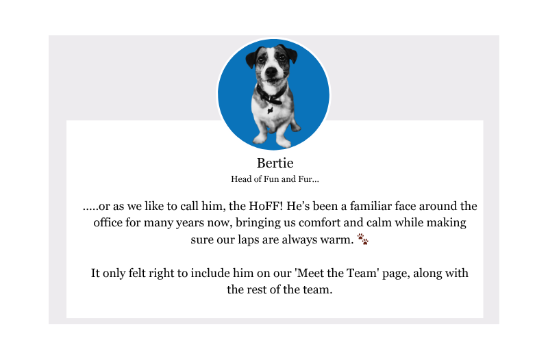 Bertie Meet the team - Nov 25